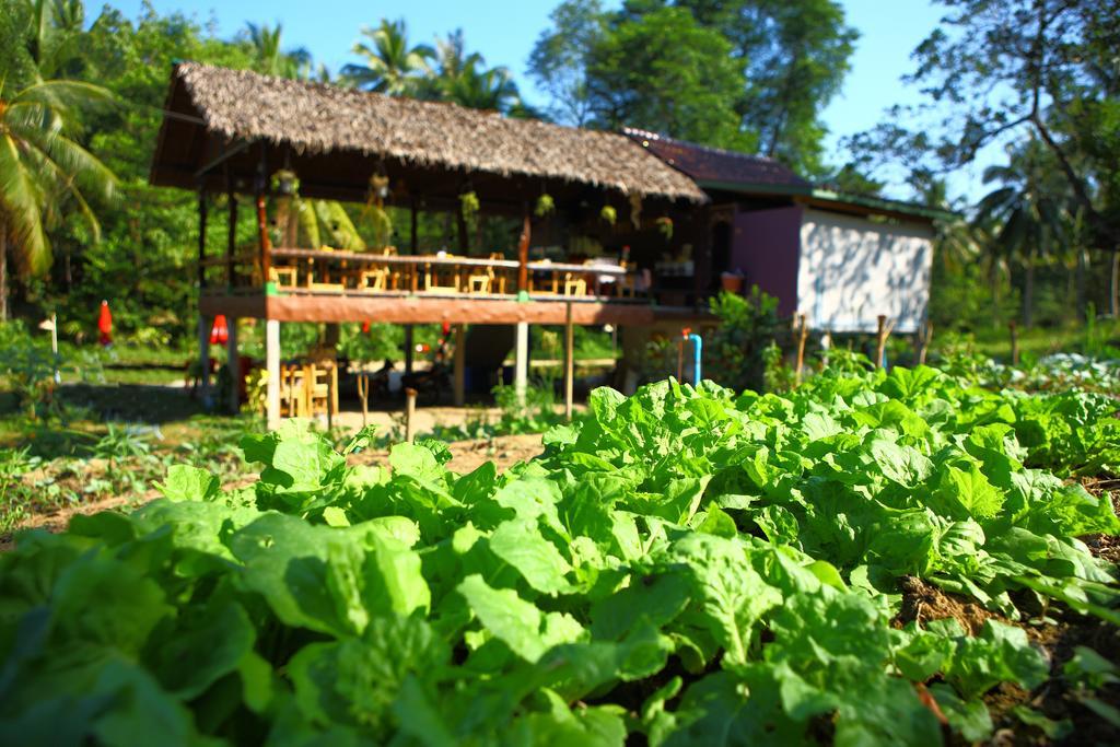 Phayam Garden View Hotel Koh Phayam Exterior photo