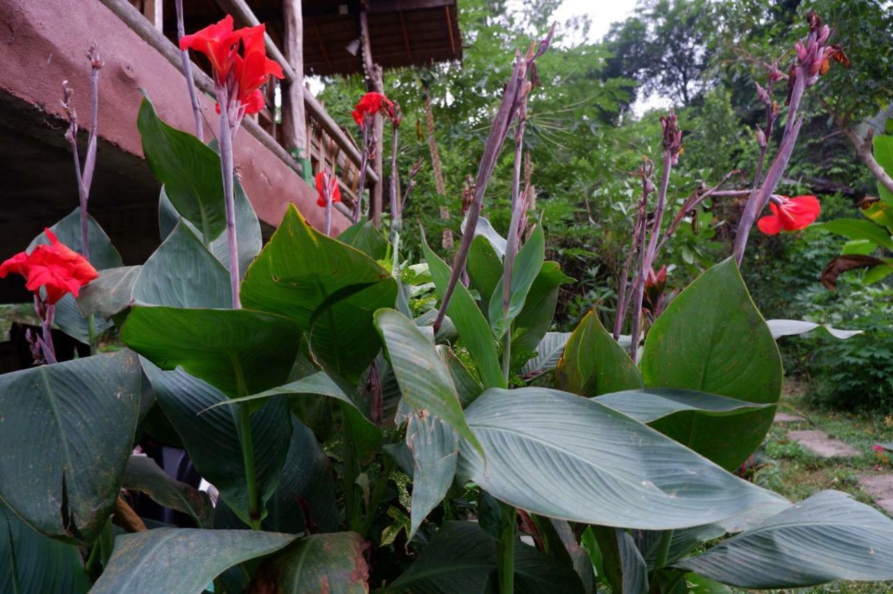 Phayam Garden View Hotel Koh Phayam Exterior photo